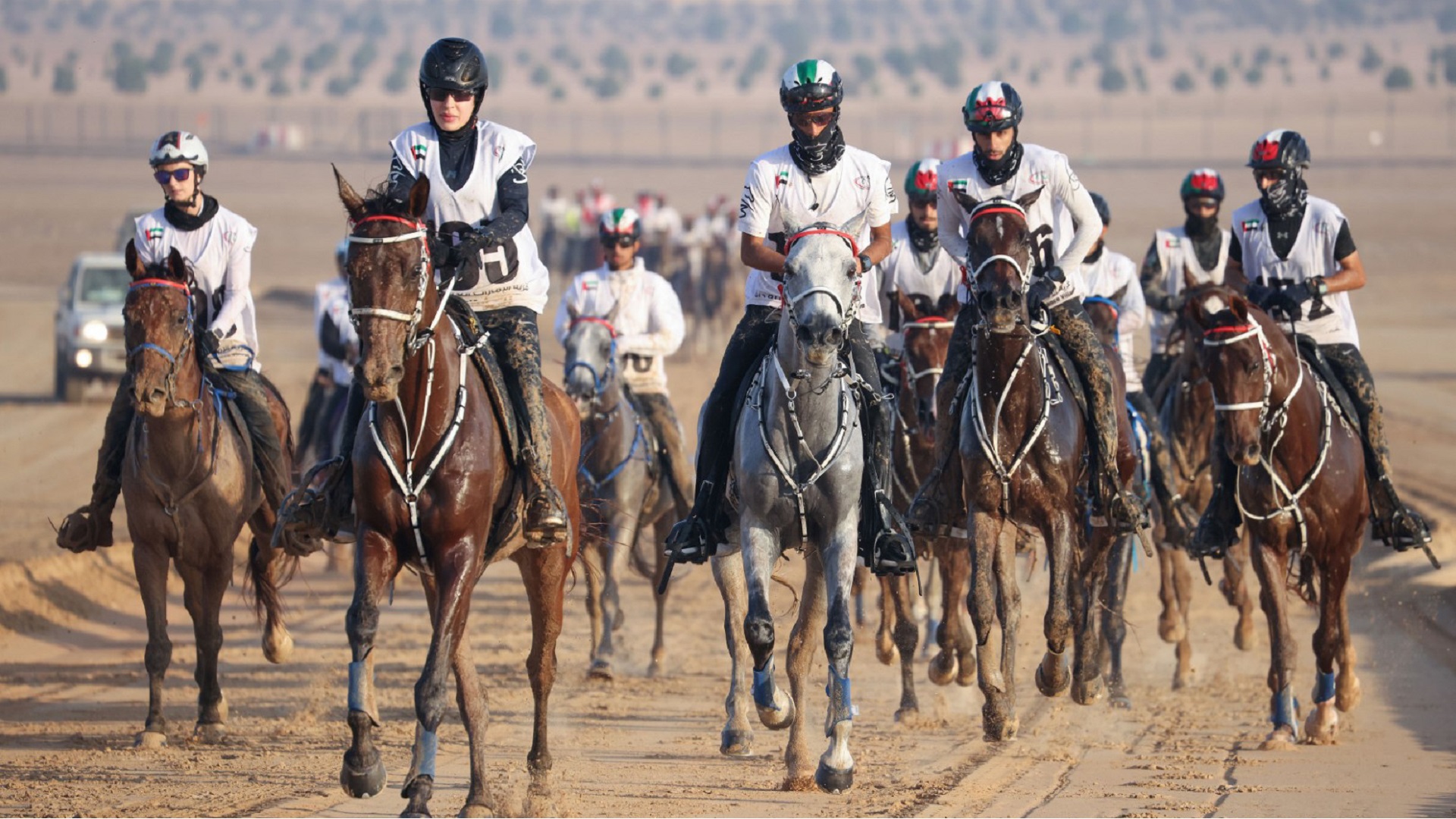Image for the title: 200 jockeys gearing up for National Day Endurance Cup Sunday 