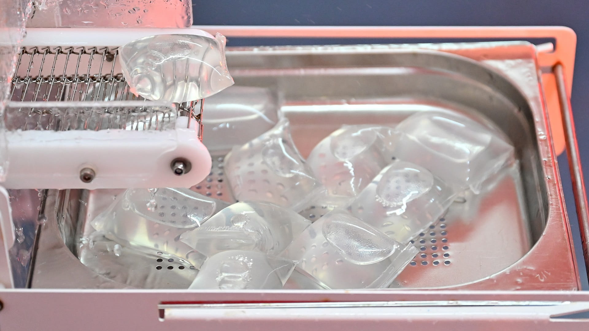 Image for the title: UK start-up behind algae-based packaging bids for Earthshot glory 