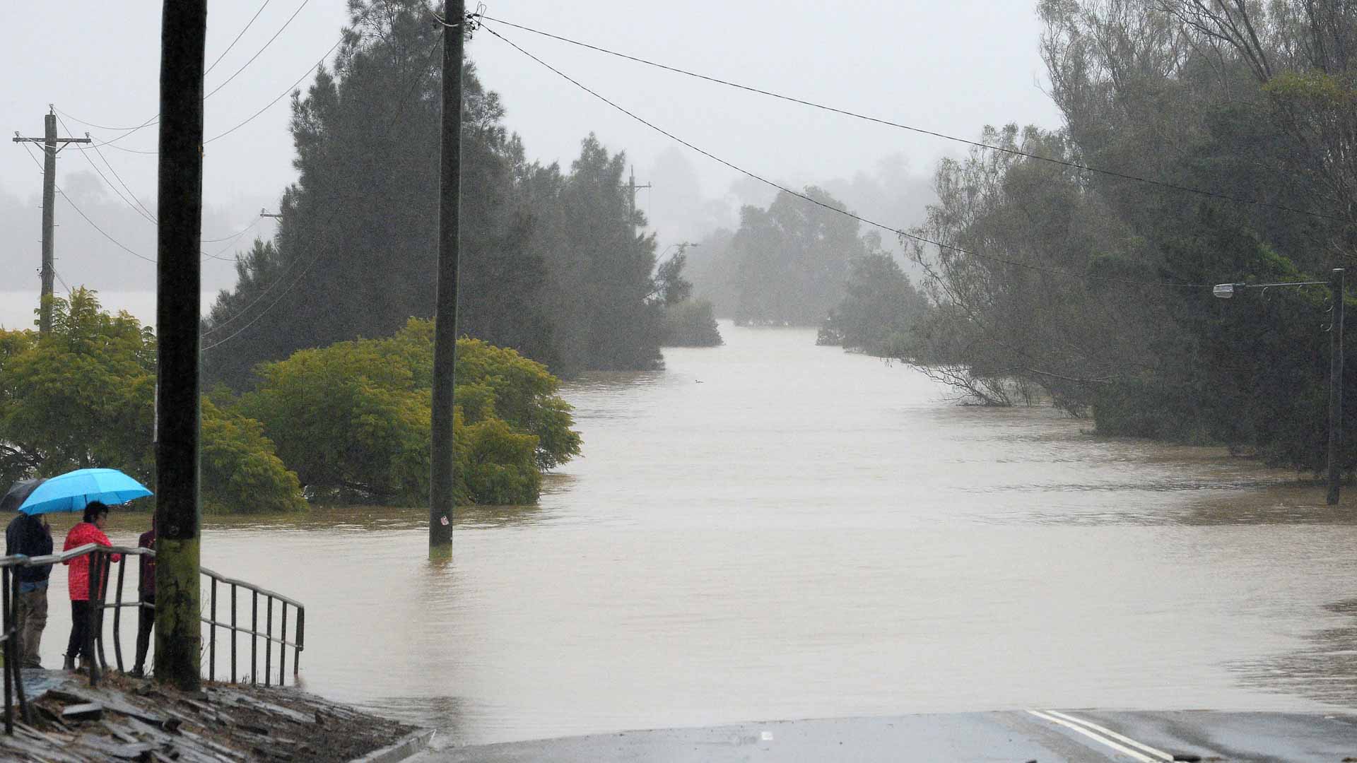 Image for the title: Sydney records wettest year since 1858 as braces for more floods 