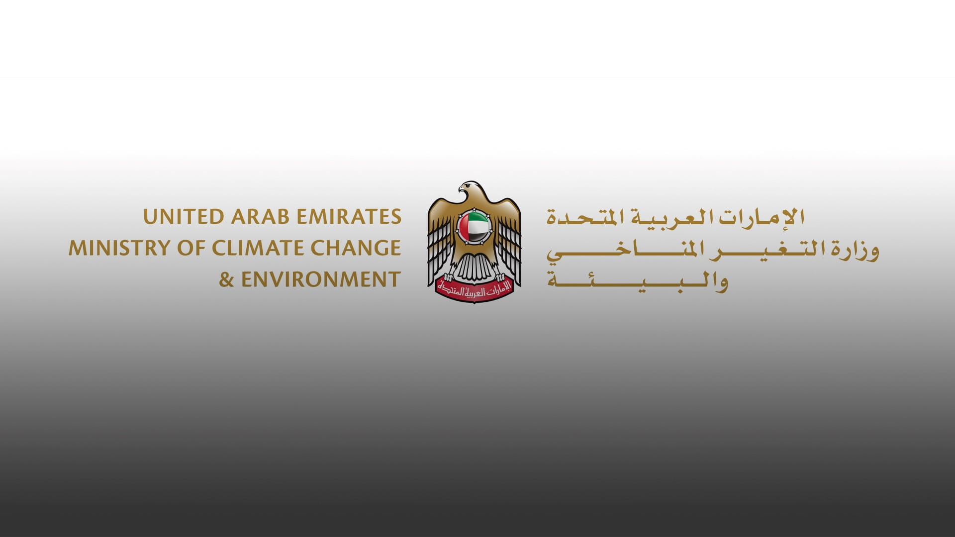 Image for the title: MoCCAE rolls out 'National Mosquito Control Campaign' 