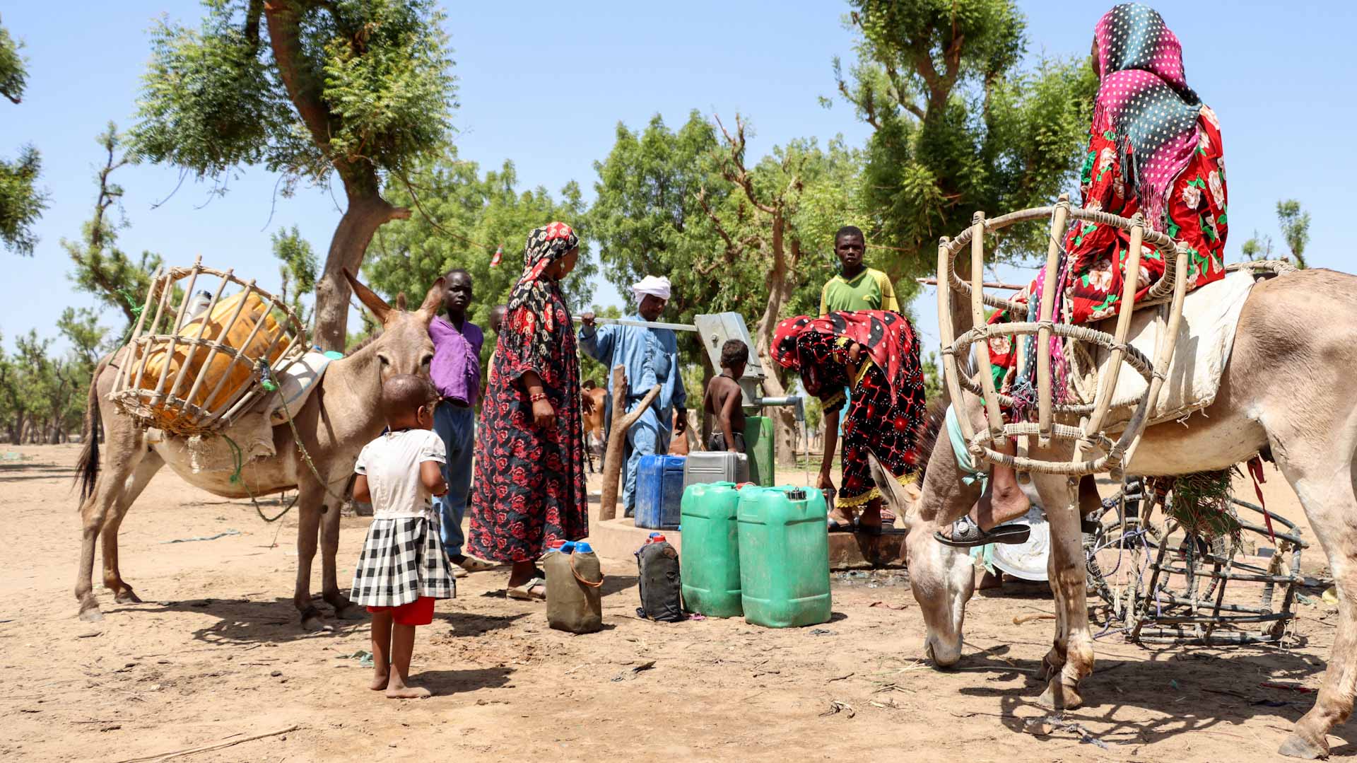 Image for the title: Chad climate disaster leaves record 2.1 million people hungry 