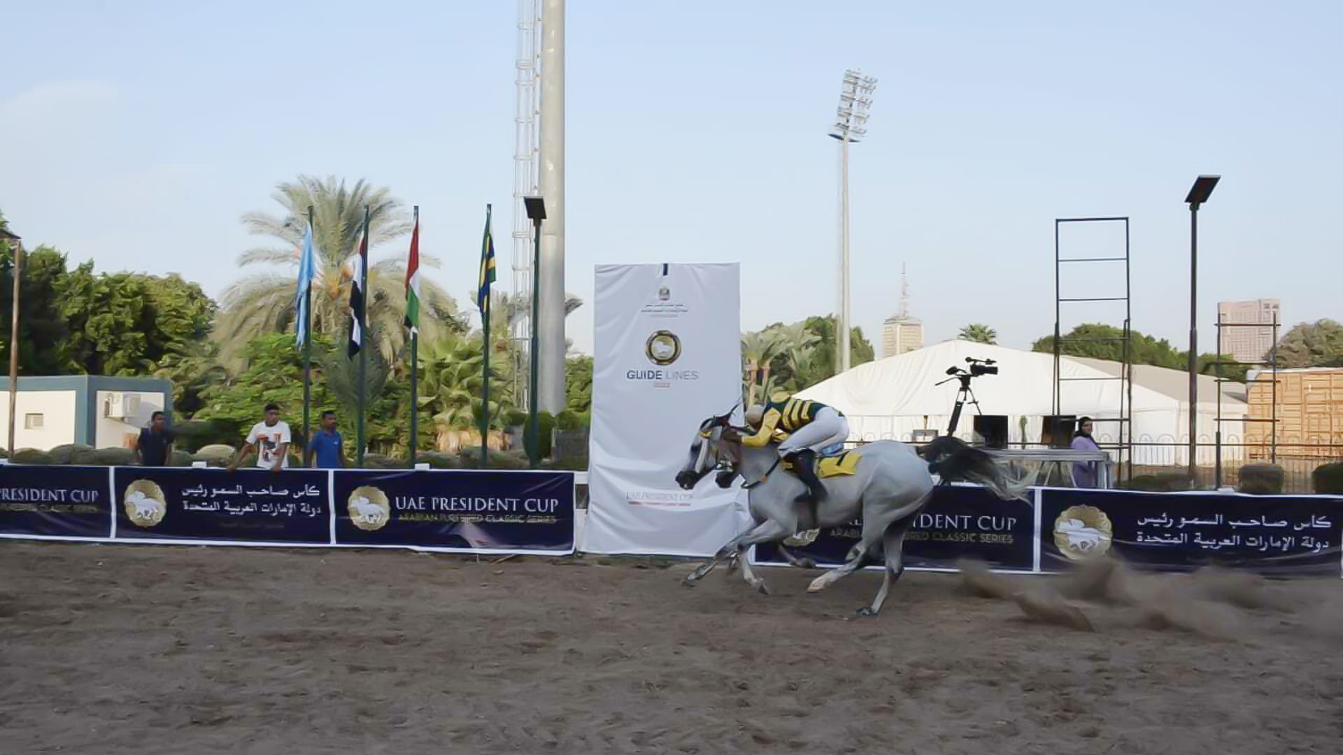 صورة بعنوان: الجواد "جوهر سعفان" يحتفظ بكأس رئيس الدولة للخيول العربية في مصر 