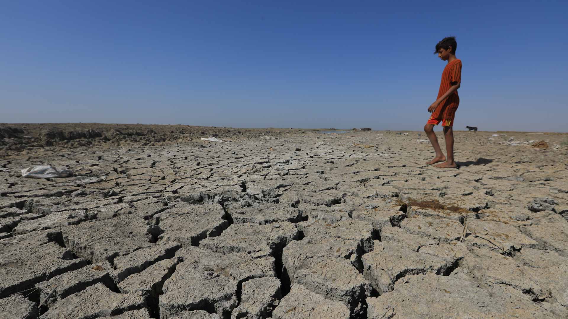 صورة بعنوان: في تحذير أممي..التغير المناخي يقتل البراءة ويهدد مليار طفل بالعالم 