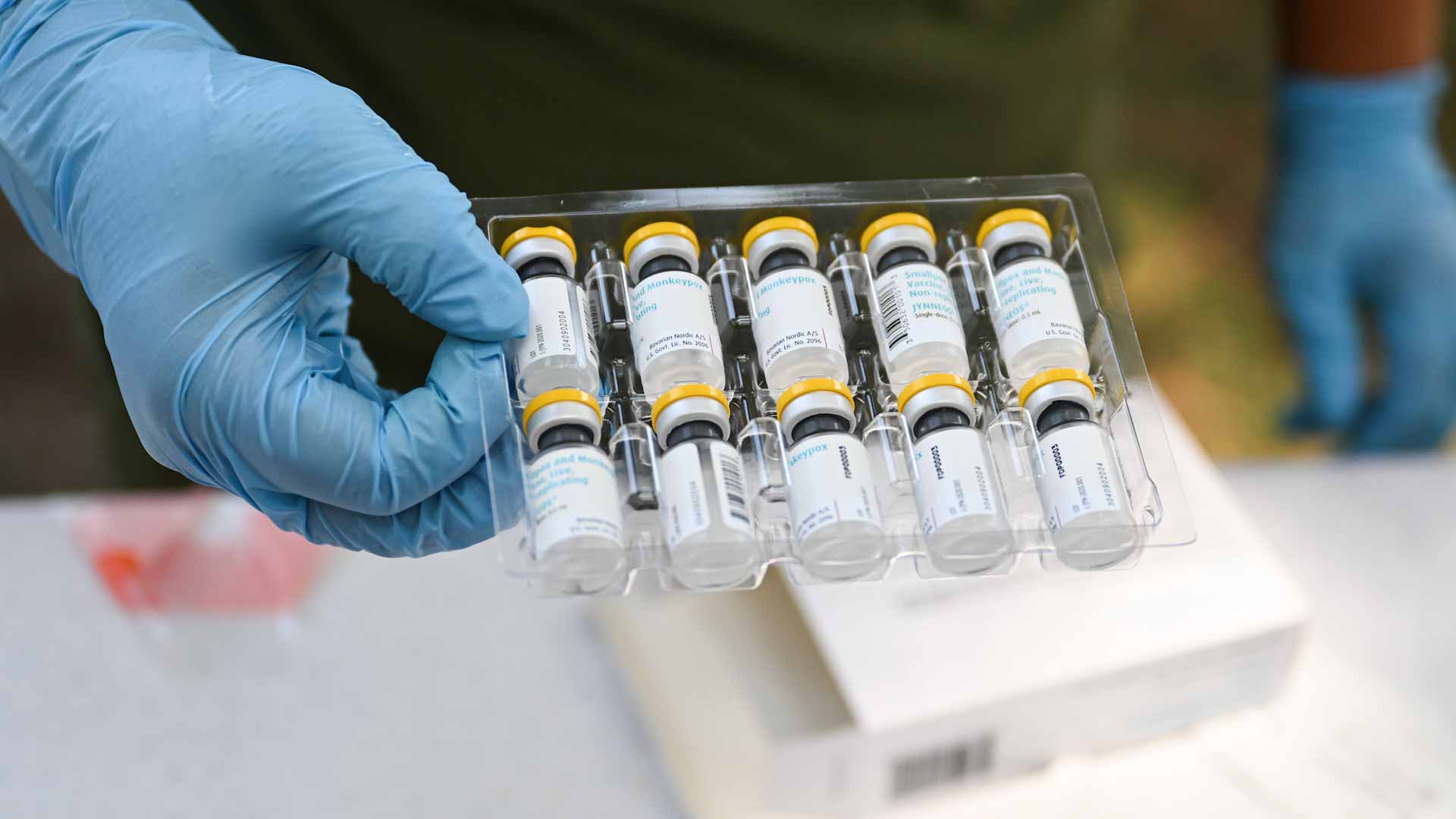 Image for the title: Monkeypox retreating but threat remains, experts warn 