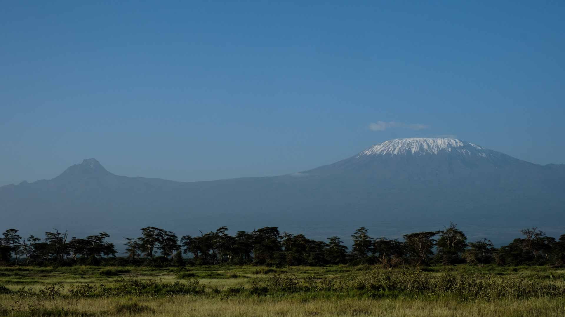 Image for the title: Tanzanian firefighters battle blaze on Mount Kilimanjaro 