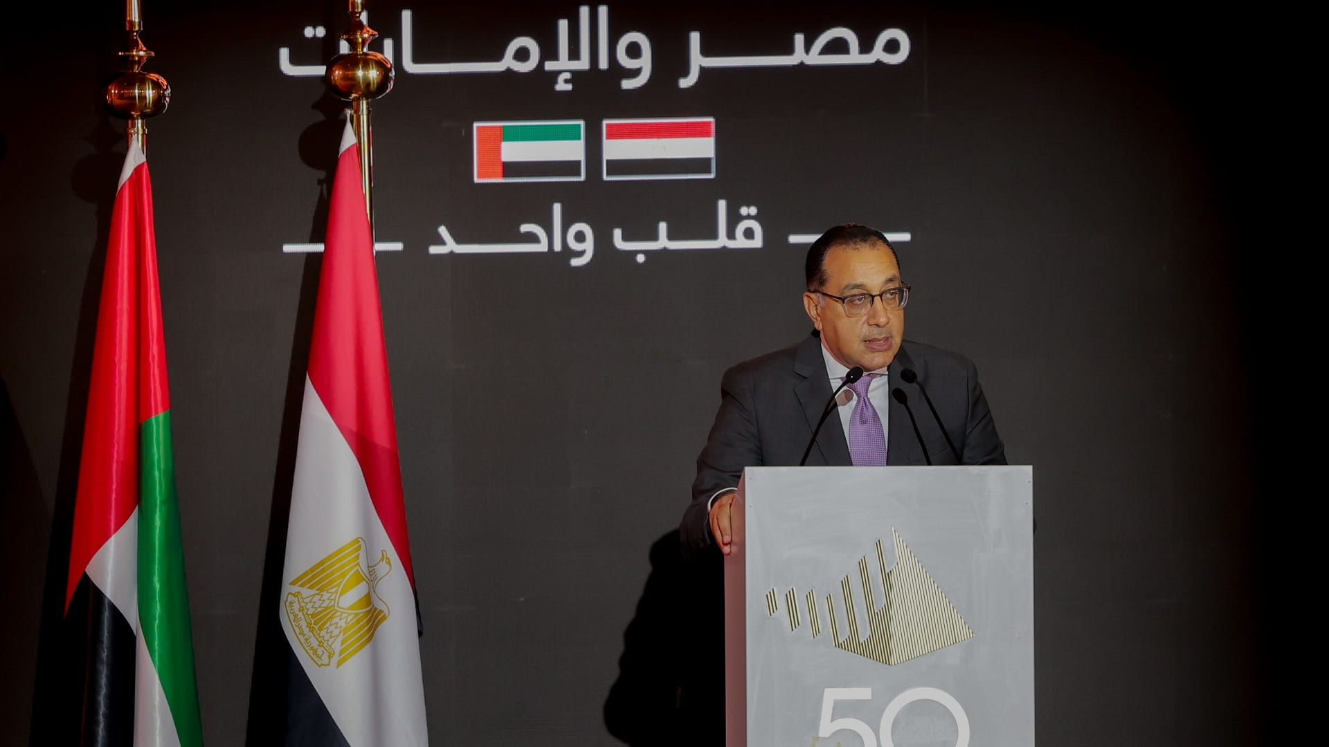 صورة بعنوان: مدبولي: الإمارات الأولى عالمياً بتدفقات الاستثمار الأجنبي إلى مصر 