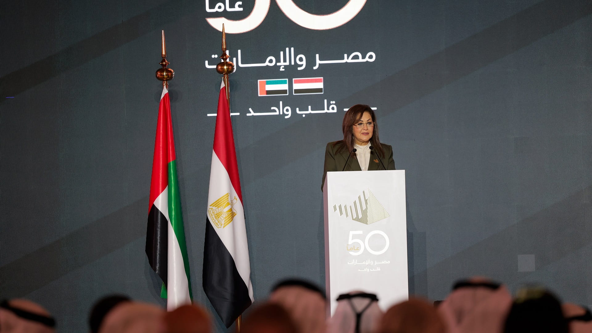 صورة بعنوان: هالة السعيد: التعاون بين مصر والإمارات شمل تعزيز التحول الرقمي 