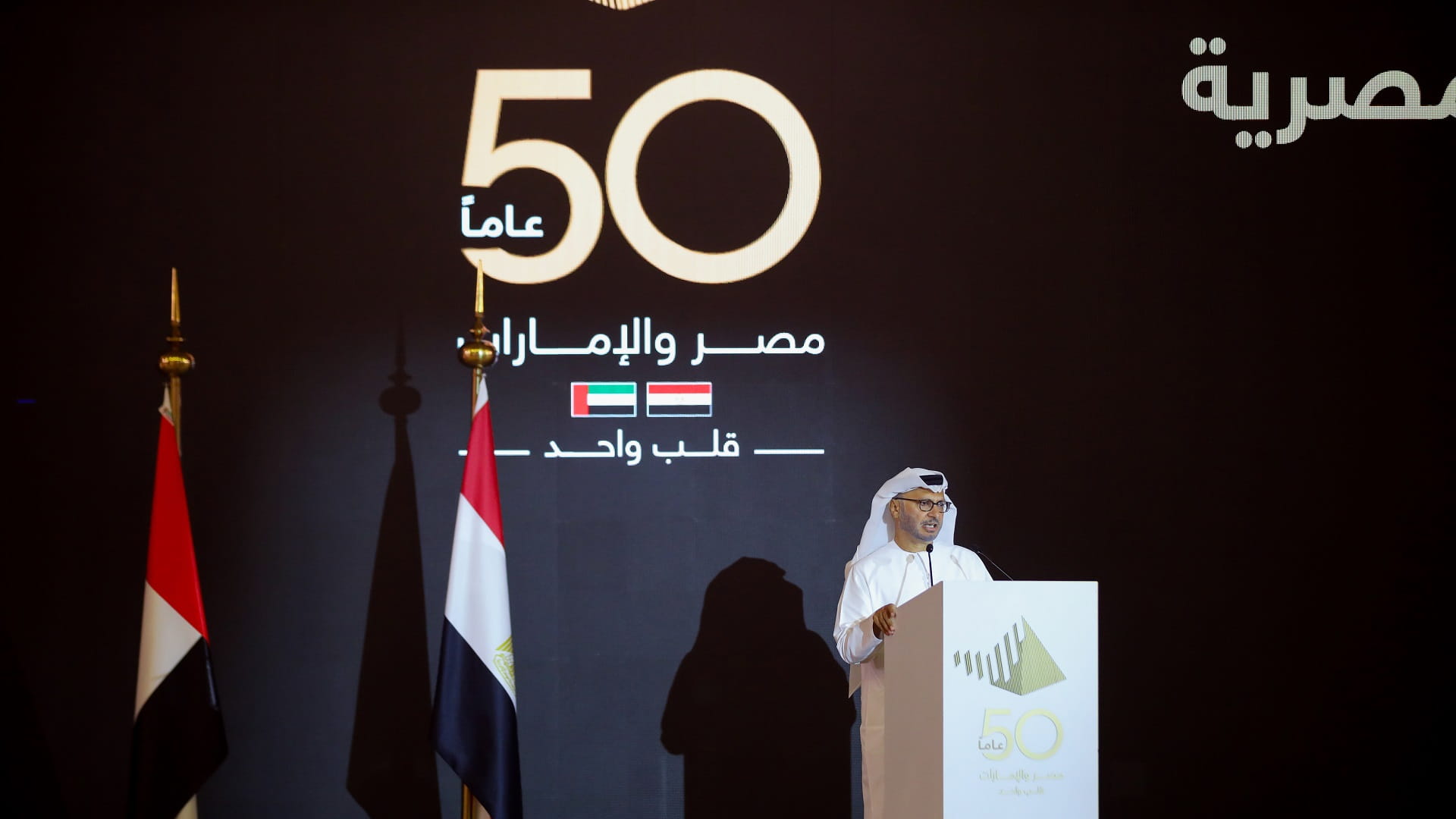 صورة بعنوان: قرقاش: علاقات الإمارات ومصر تستند لتاريخ طويل من الثقة والمصداقية 