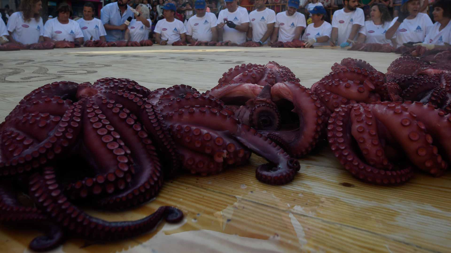 صورة بعنوان: في سمه شفاء...الأخطبوط "كورنا" يحمل بارقة أمل لمرضى سرطان الجلد 