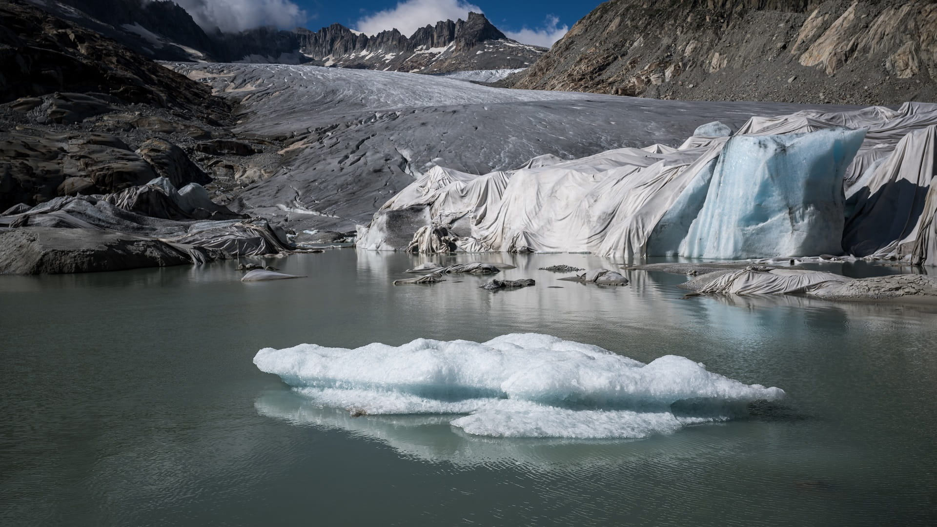 Image for the title: Study: Global warming palpable for 96% of humans 