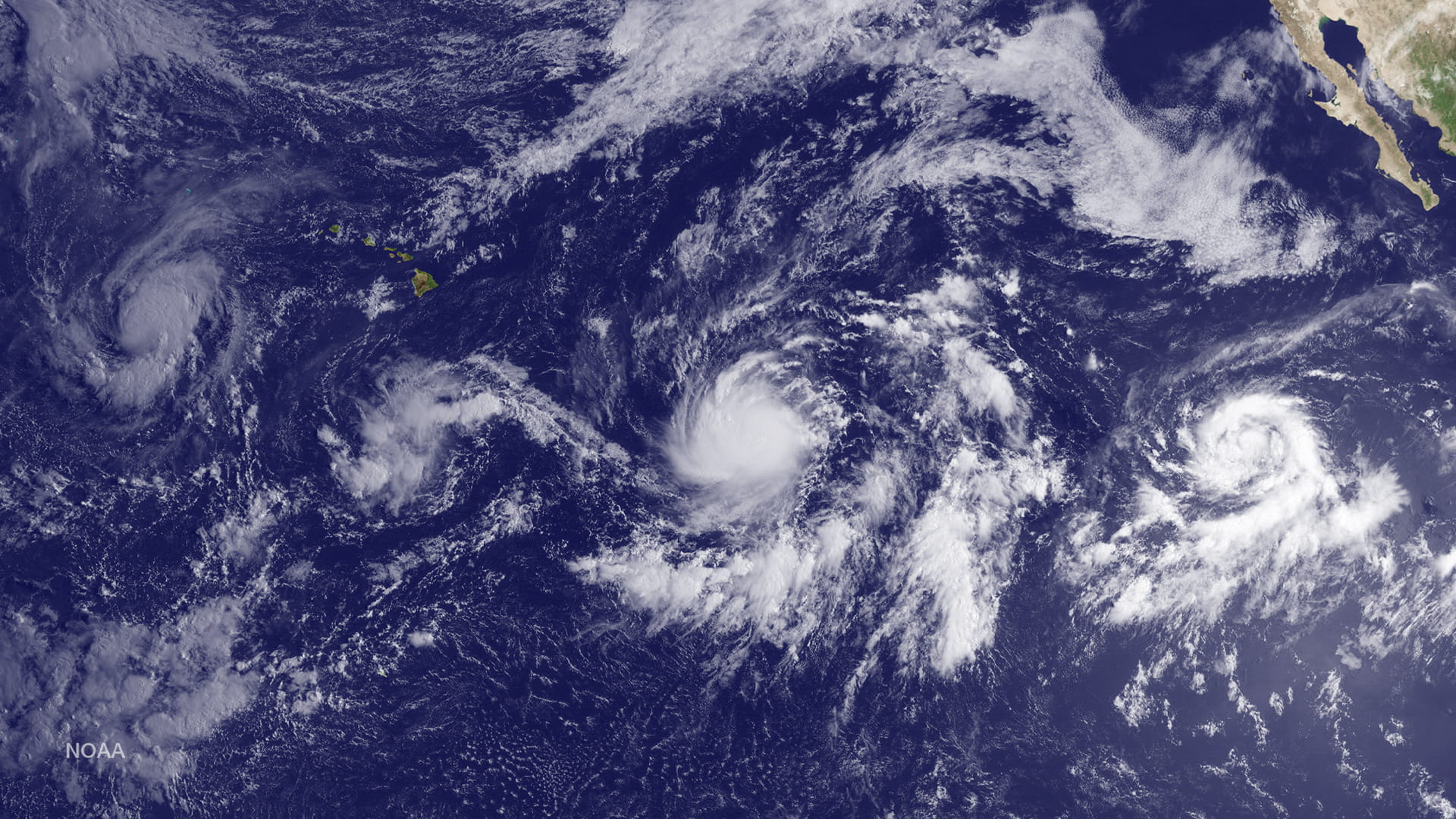 صورة بعنوان: بعد مقتل 3...العاصفة كاي تتحول إلى إعصار قبالة سواحل المكسيك  