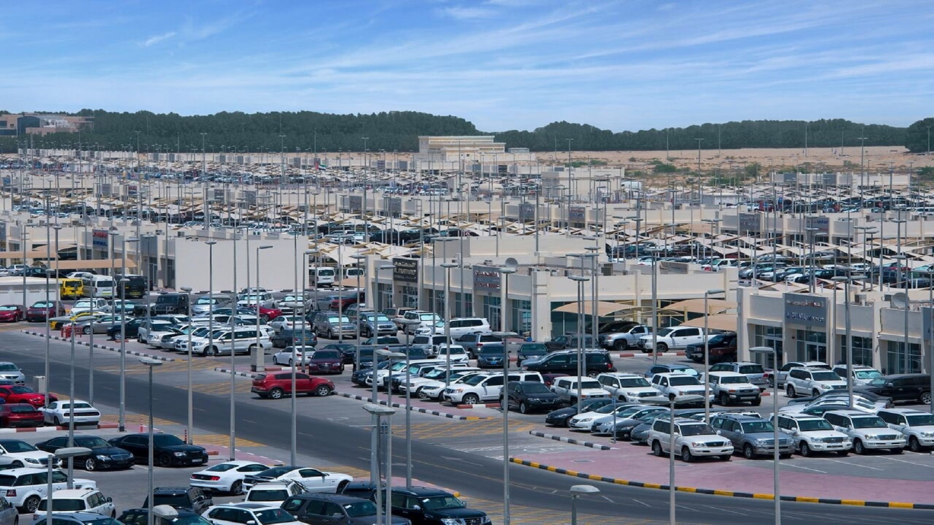 Image for the title: Souq Al Haraj is experiencing demand for electric cars 