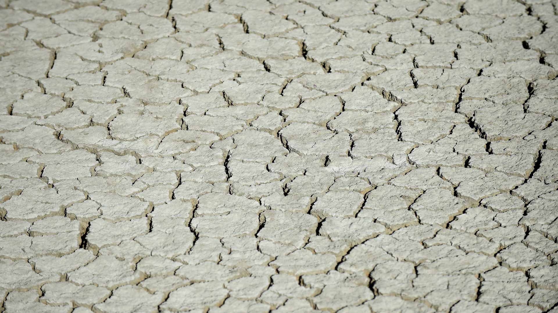 Image for the title: France sees record heat for September 