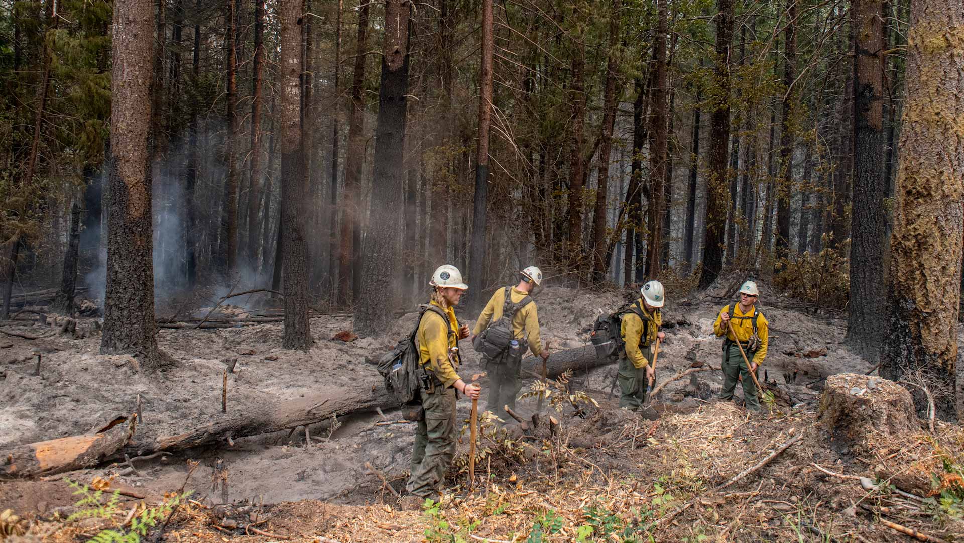 Image for the title: Oregon blaze latest major wildfire to engulf US West 