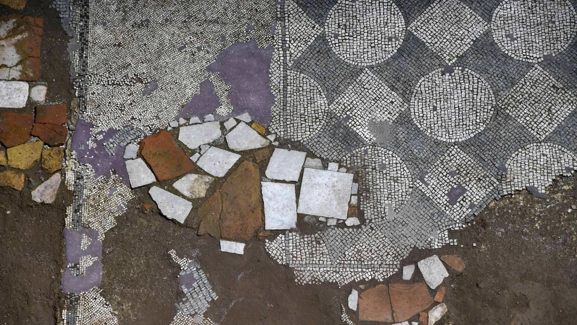 Image for the title: Byzantine mosaics discovered under Gaza farm 