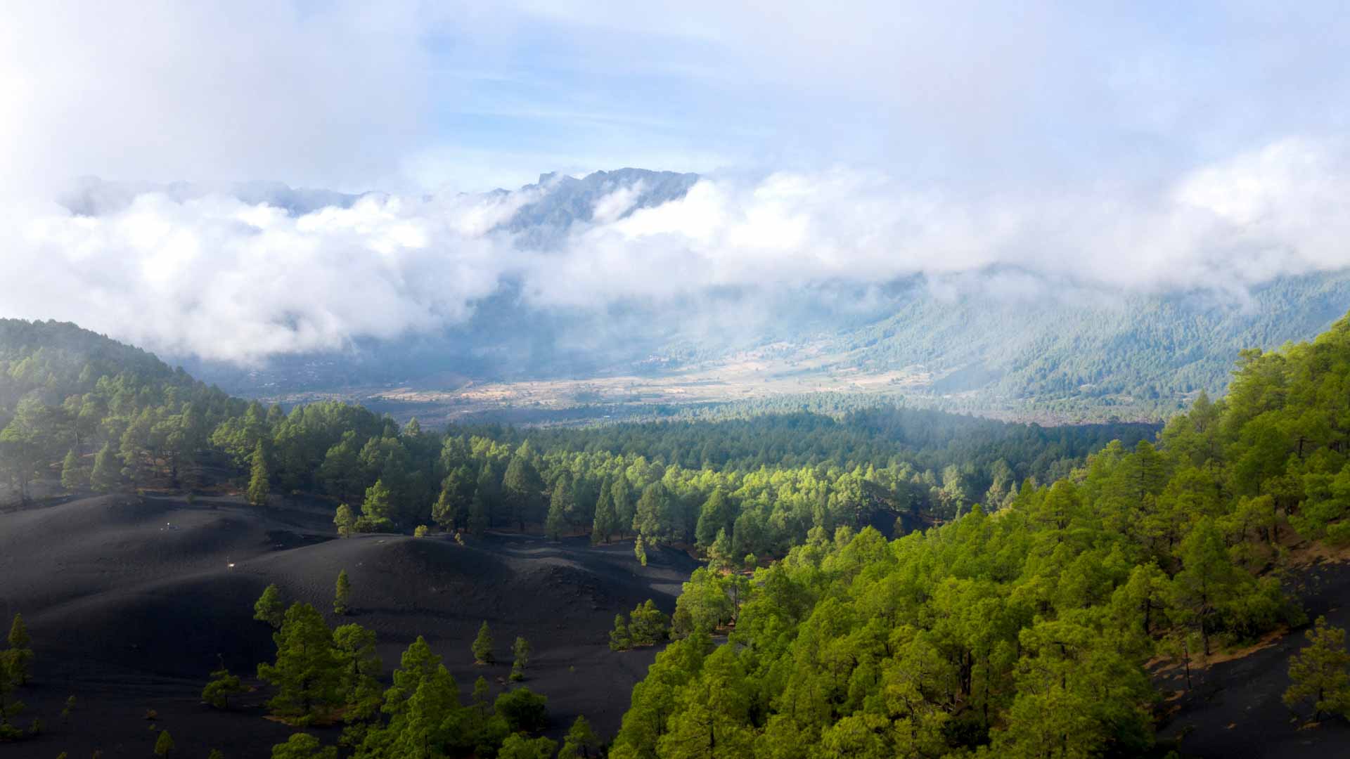 Image for the title: Volcano draws visitors to Spanish isle 