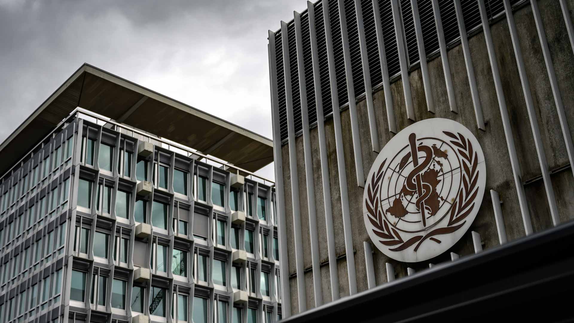 صورة بعنوان: الأمراض غير المعدية مسؤولة عن 74% من الوفيات في العالم 