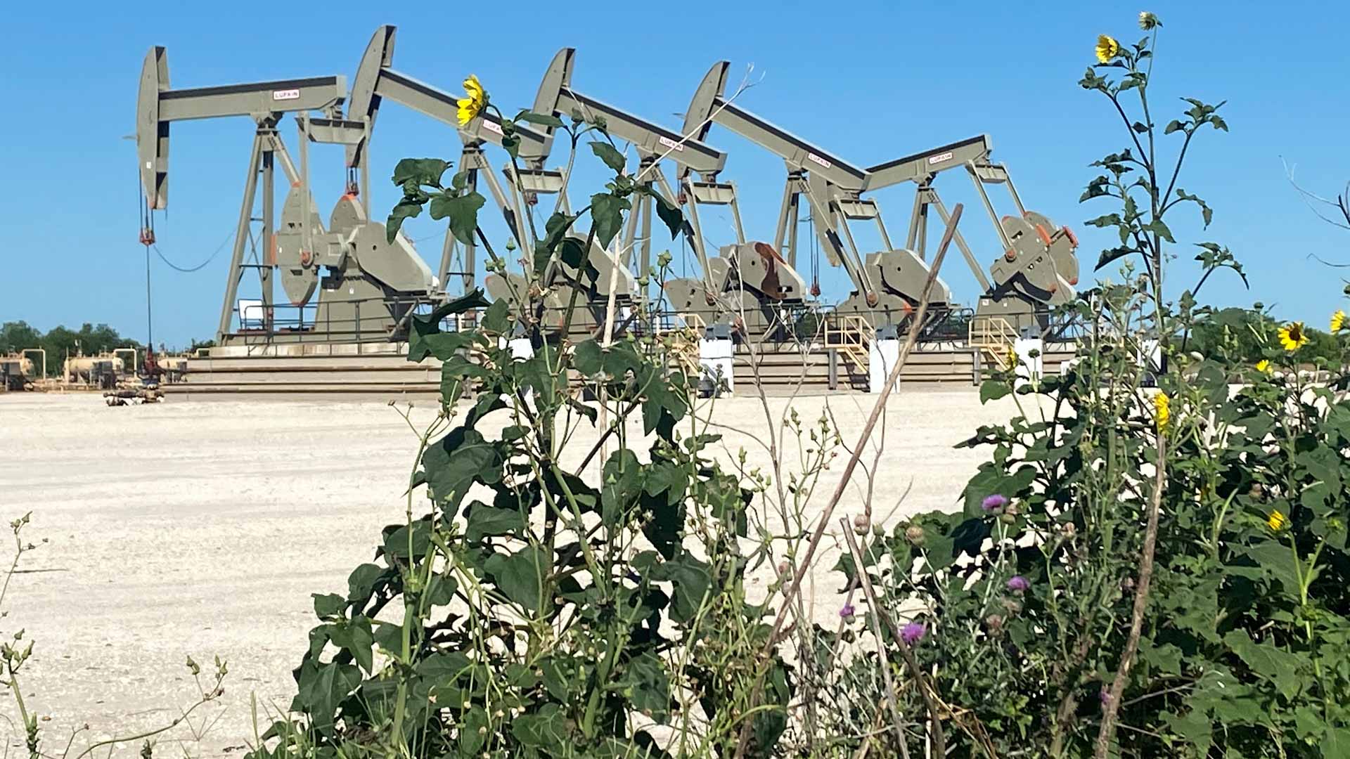 صورة بعنوان: أسعار النفط تتراجع بعد رفع الفائدة الأميركية 