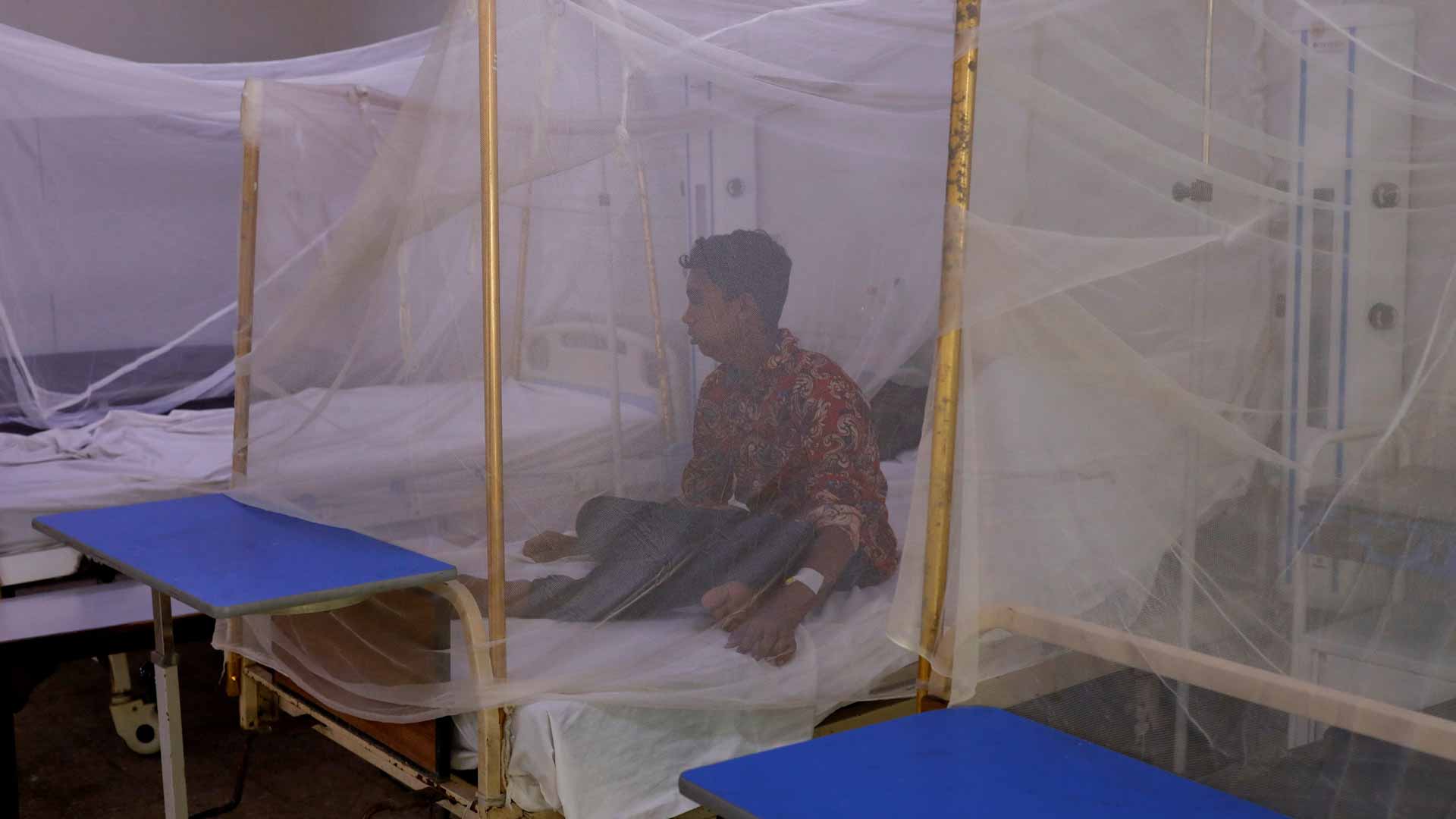 صورة بعنوان: في تحذير صحي...الملاريا تتفشى بسرعة في باكستان بعد فيضانات عارمة  