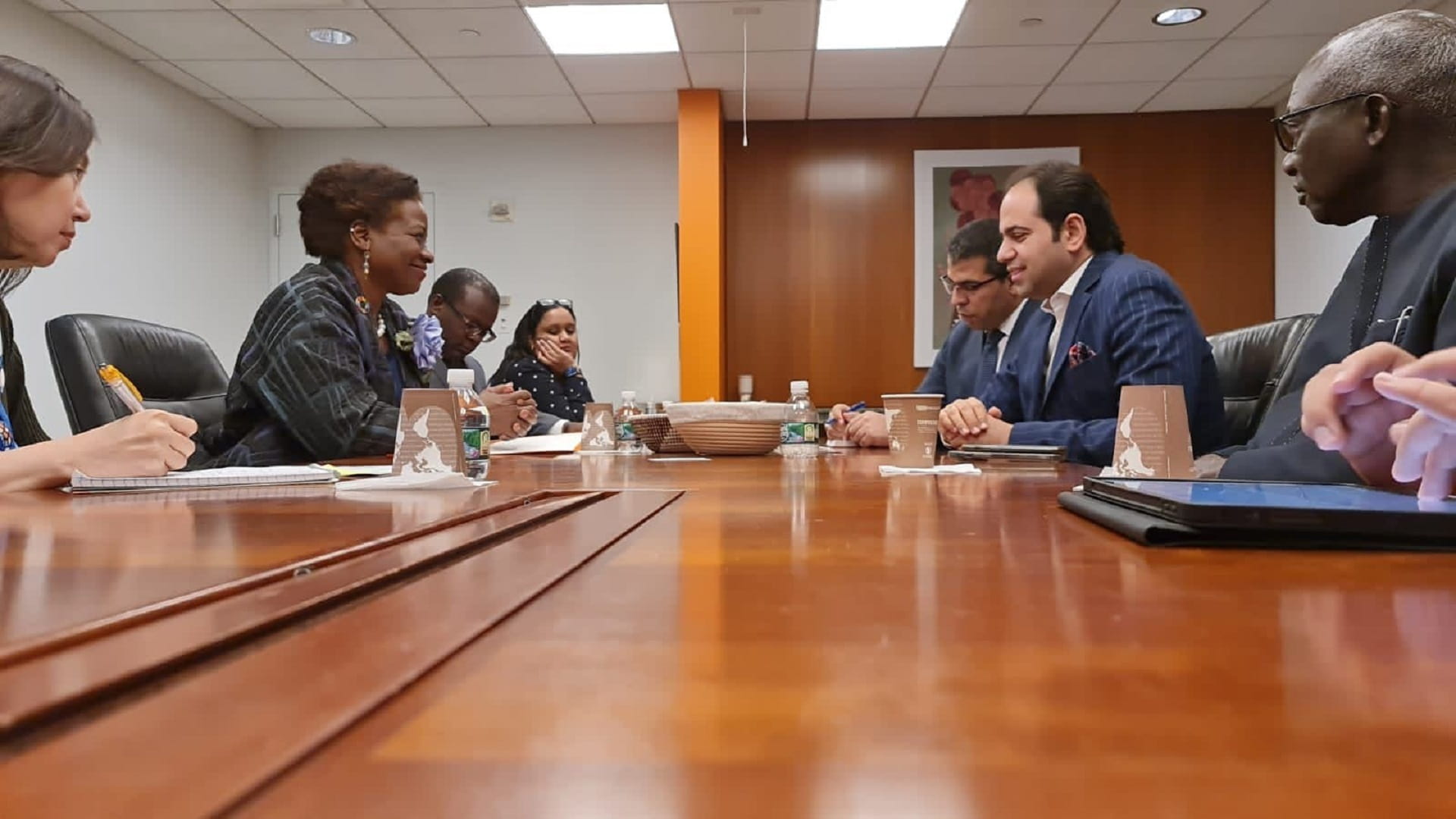 Image for the title: SG of Muslim Council of Elders meets Head of UN Population Fund 