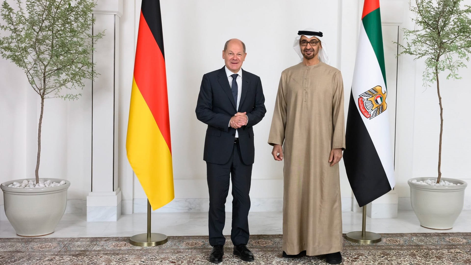 Image for the title: UAE President discusses cooperation paths with German Chancellor 