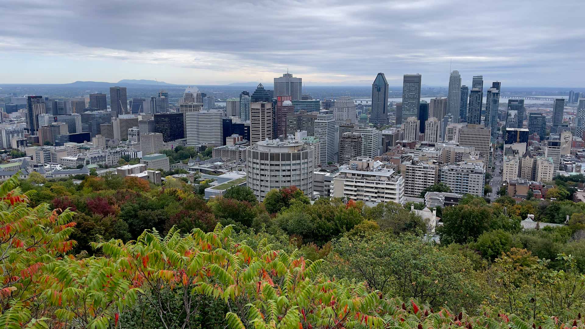 Image for the title: Canada to remove all COVID border, travel measures from Oct 1 