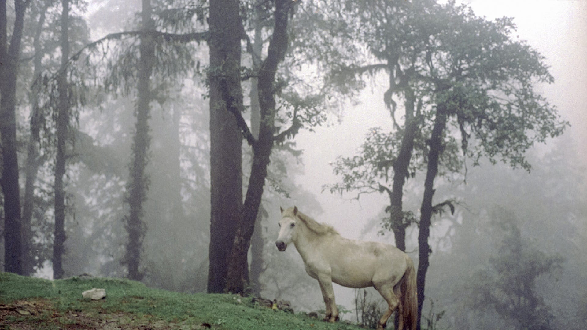 صورة بعنوان: الشارقة للفنون تعلن الفائزين بجوائز "الشارقة وجهة نظر 10" 