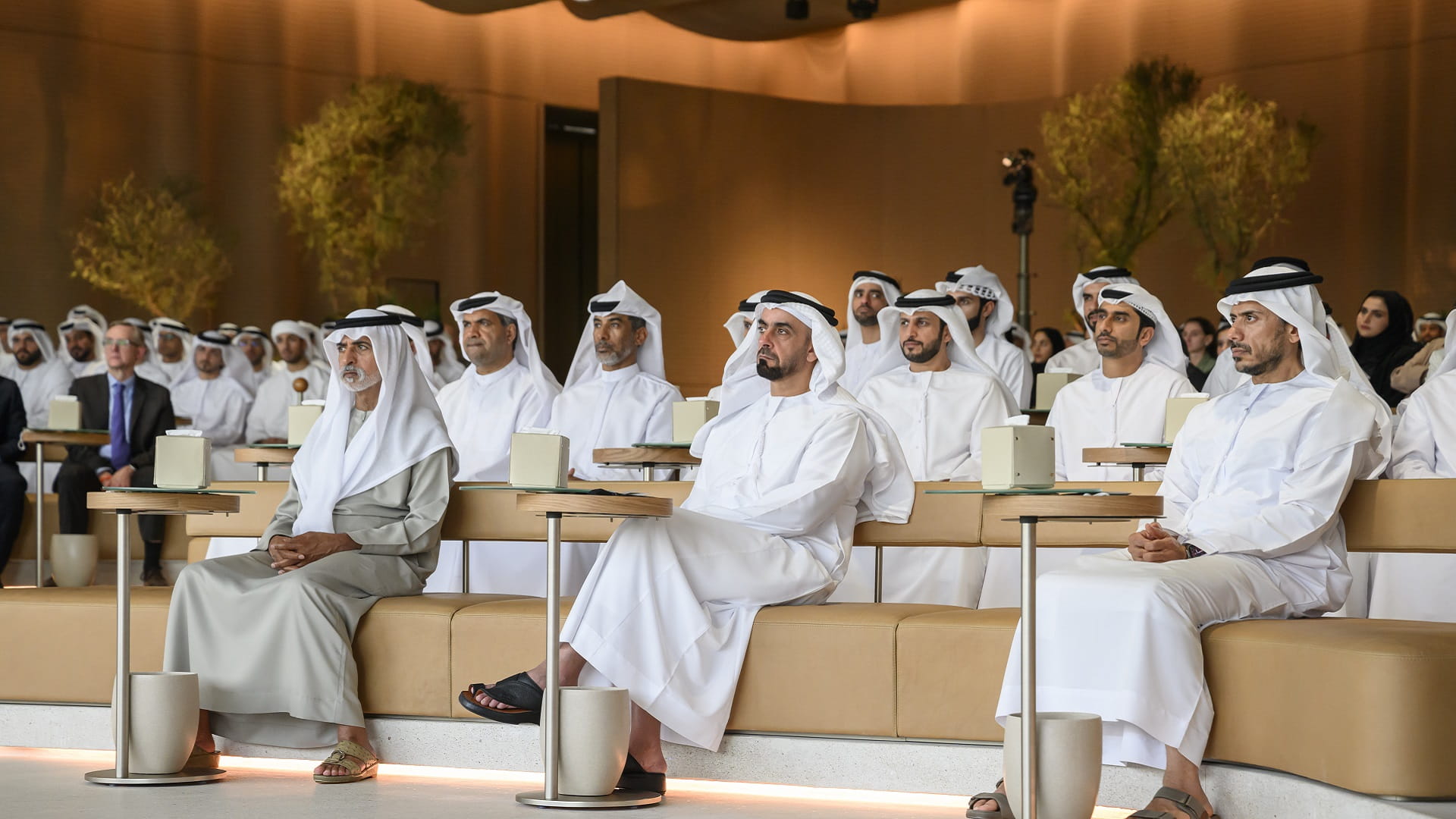Image for the title: Saif bin Zayed explores leadership in digital age 