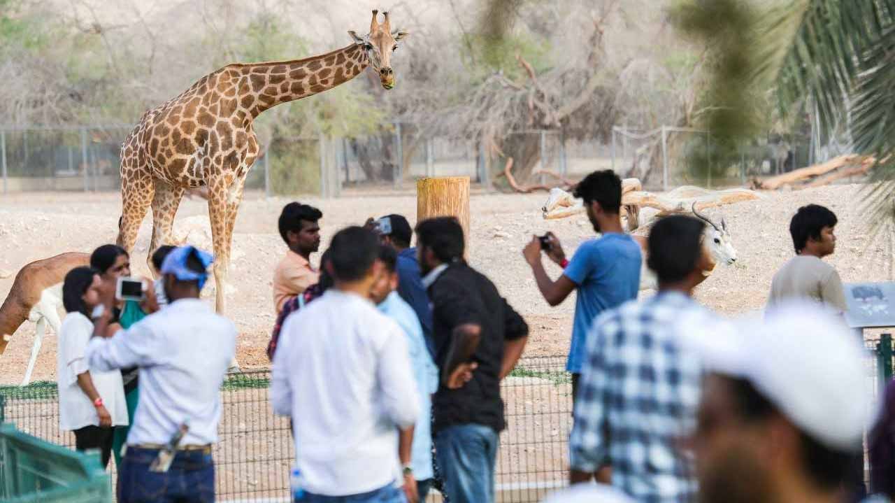 Image for the title: Al Ain Zoo offers exciting events during Eid Al Fitr 