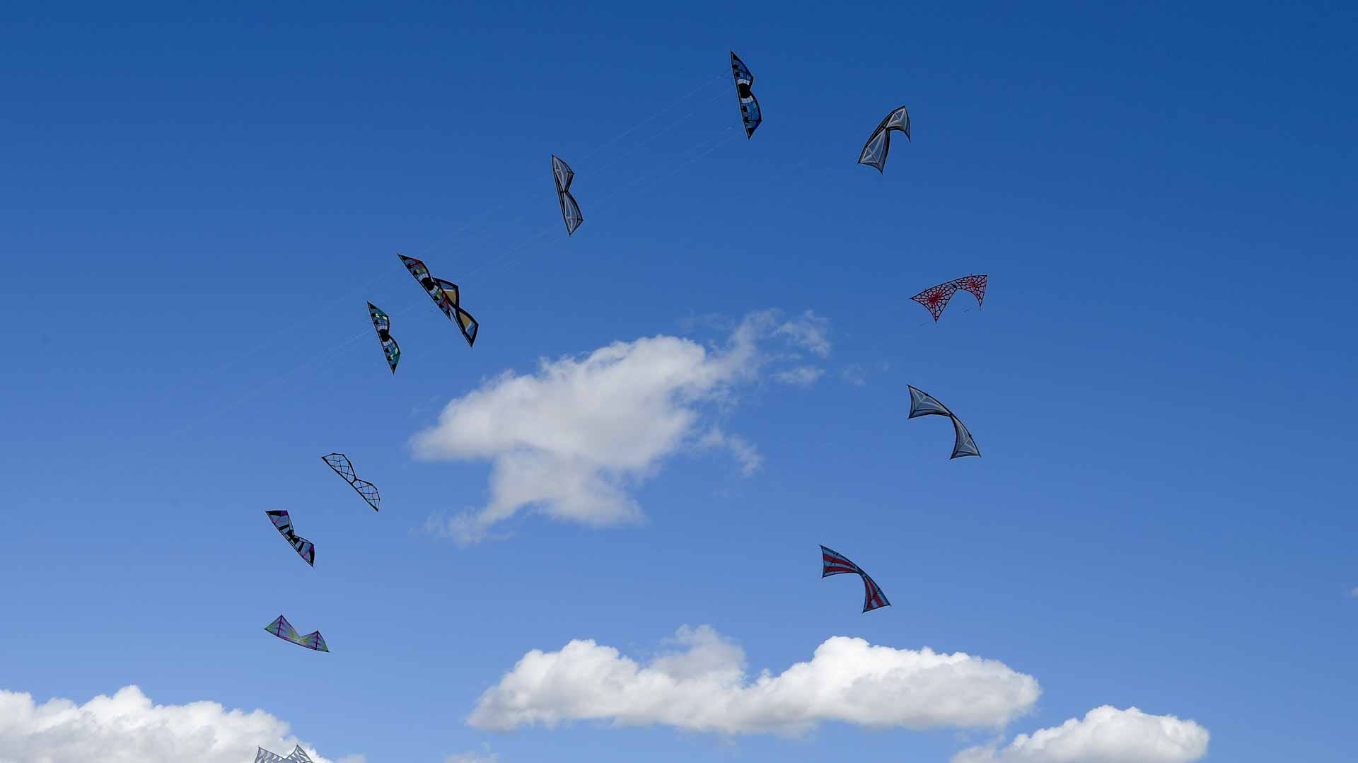 Image for the title: Four badly hurt after car hits crowd at French kite festival 