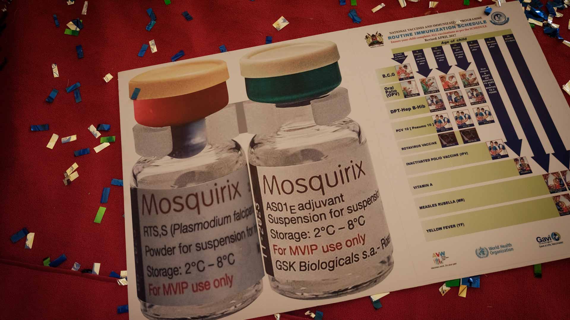 صورة بعنوان: رغم التوصل إلى لقاحات...الملاريا لا تزال مرضاً فتاكاً في إفريقيا 