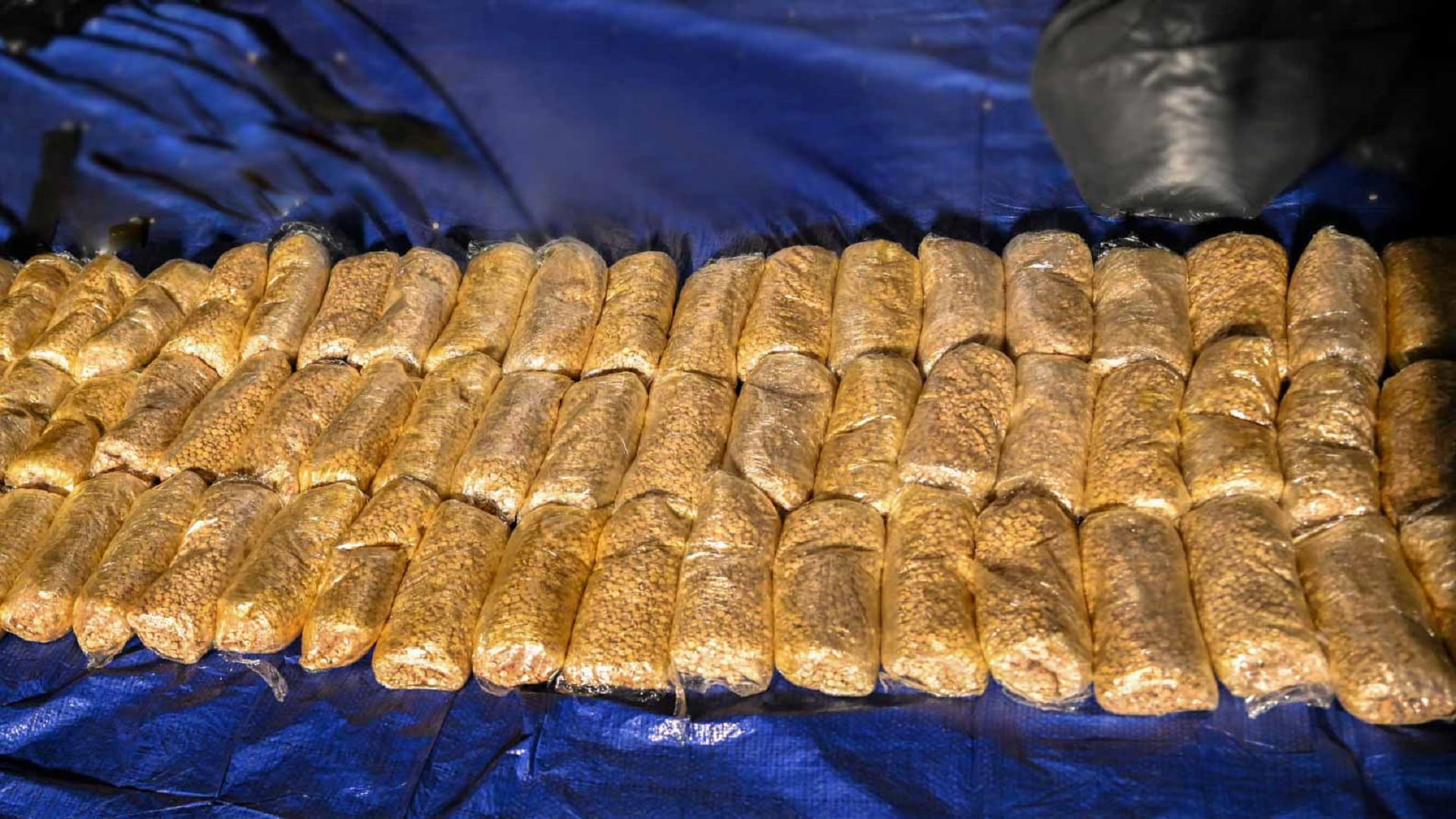 Image for the title: SP arrests 24 members with 120kg hashish 