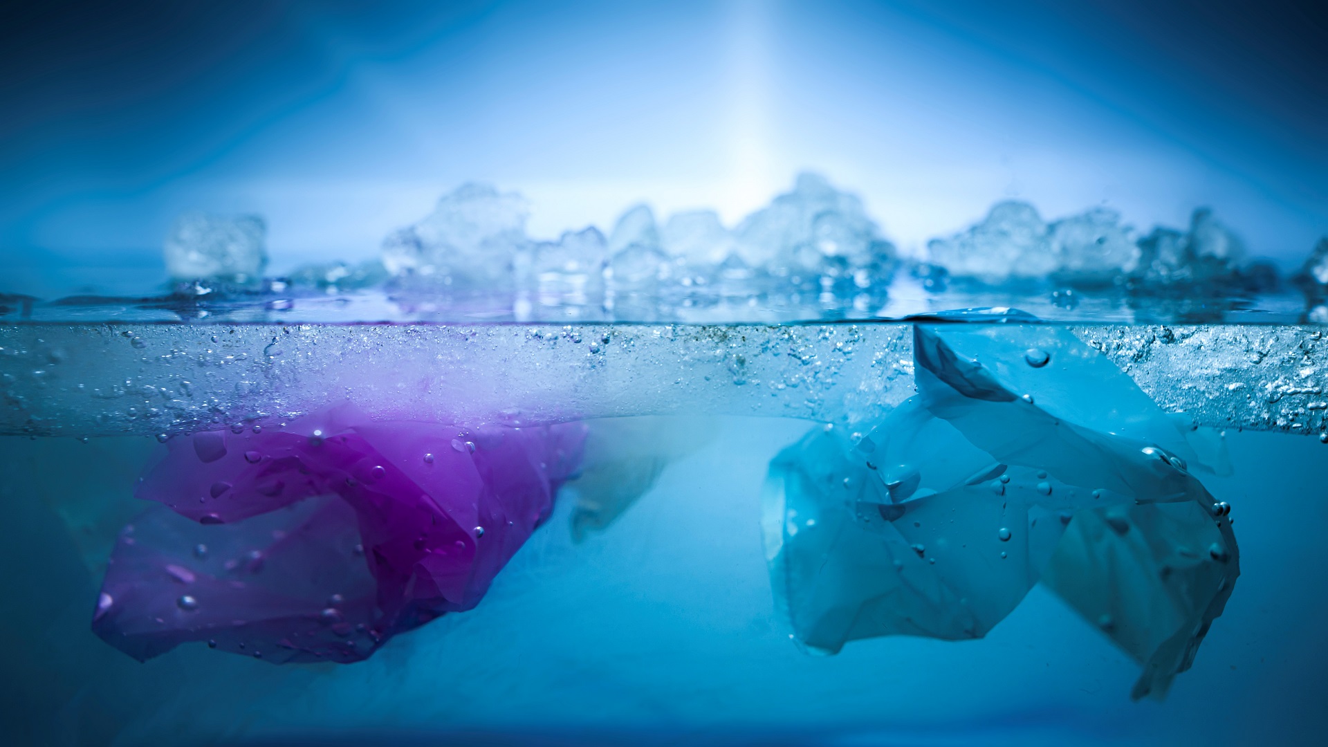 Image for the title: Plastic litter in oceans overestimated, study suggests 