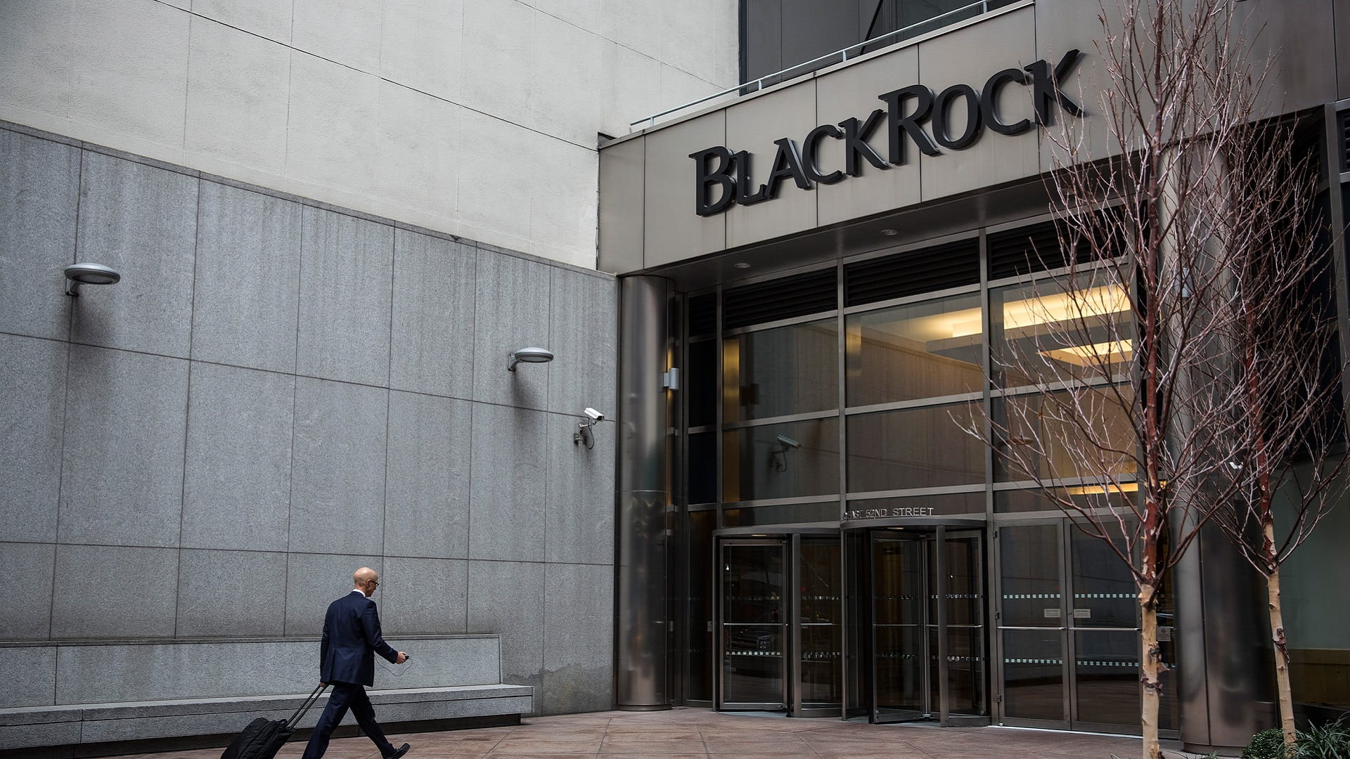 Image for the title: N.Zealand, BlackRock to create climate investment fund 