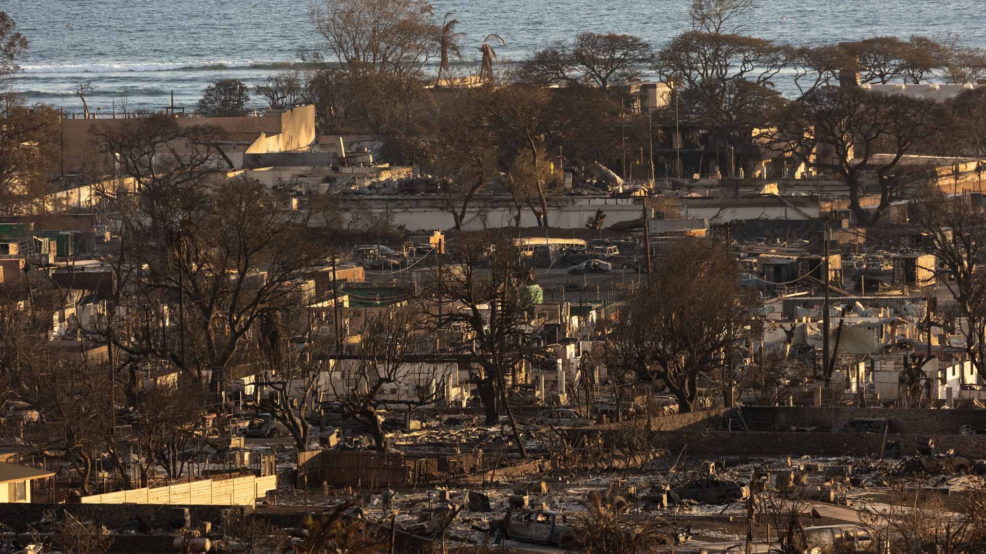 Image for the title: Maui wildfires deadliest in century as death toll hits 93 