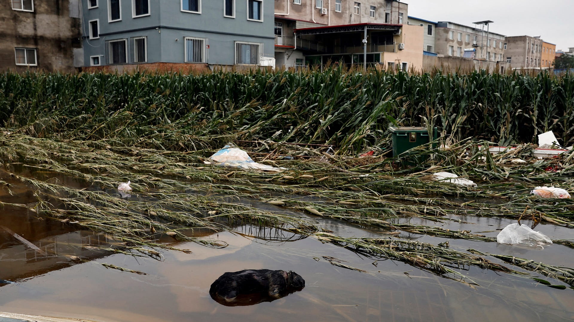 صورة بعنوان: حصيلة ضحايا انزلاق التربة في الصين ترتفع إلى 21 قتيلاً 