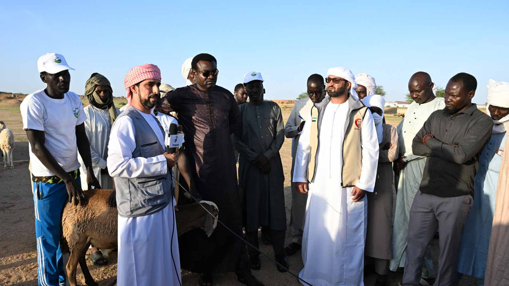 Image for the title: Emirati team distributes 200 heads of cattle in Chad 