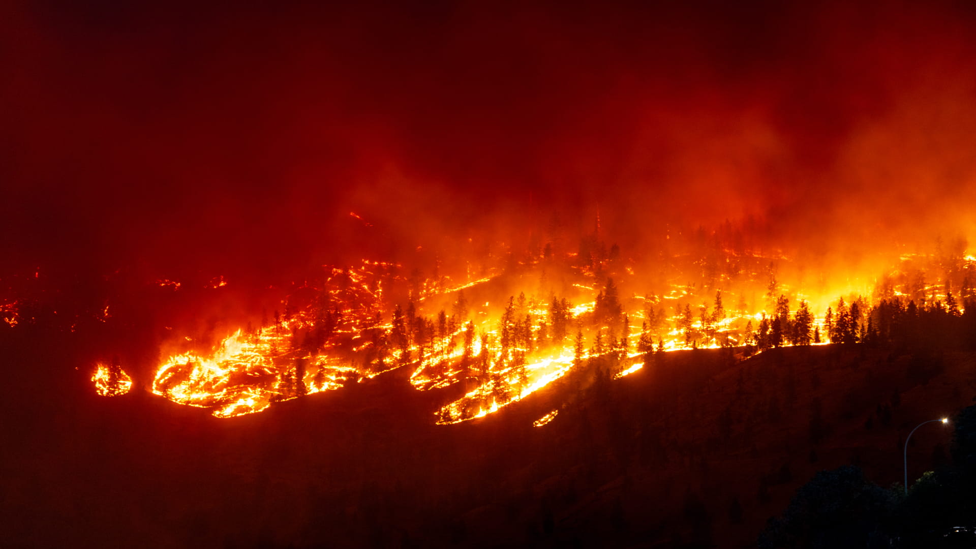 صورة بعنوان: إخلاء 8 قرى في شمال شرق اليونان بسبب حرائق الغابات 