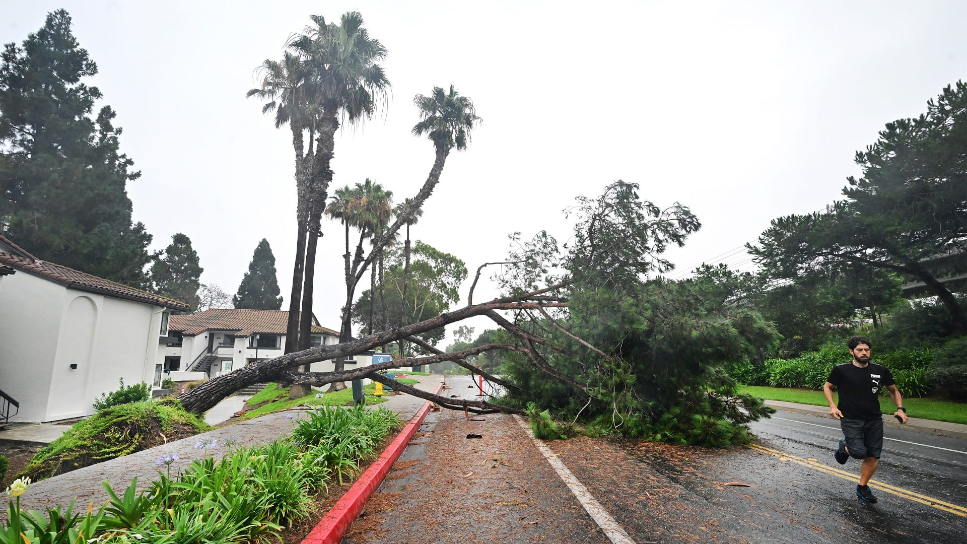 Image for the title: Tropical Storm Hilary releases fury on Southern California 