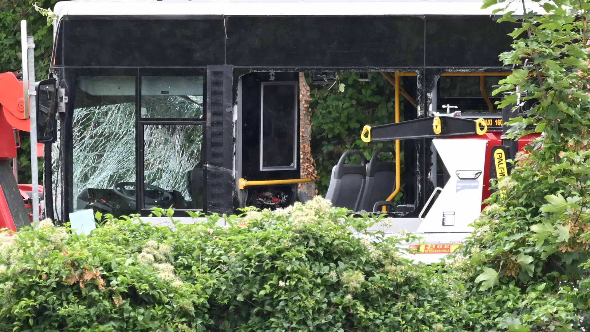 صورة بعنوان: في حادث غريب..اصطدام حافلة بشجرة يودي بحياة 14 شخصاً في تايلاند