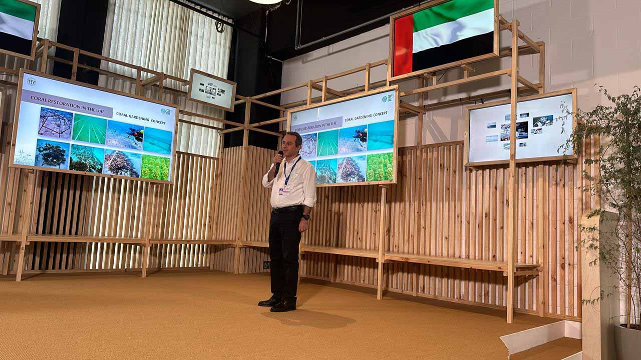 Image for the title: EPAA presented its diversity efforts at COP 28 