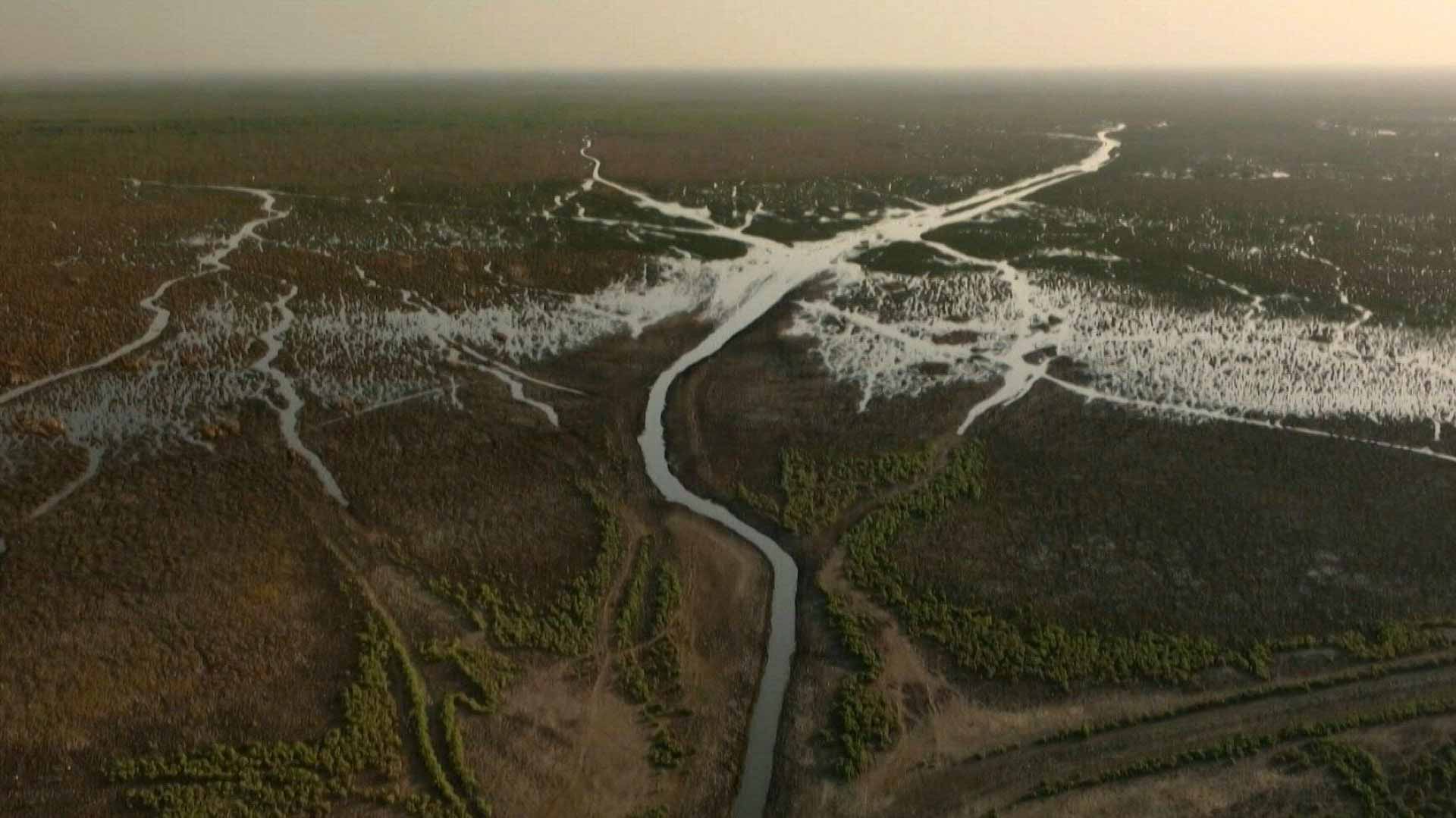 صورة بعنوان: وسط قلة الأمطار..مياه أهوار العراق تنفد وحضارة مجيدة تختفي 