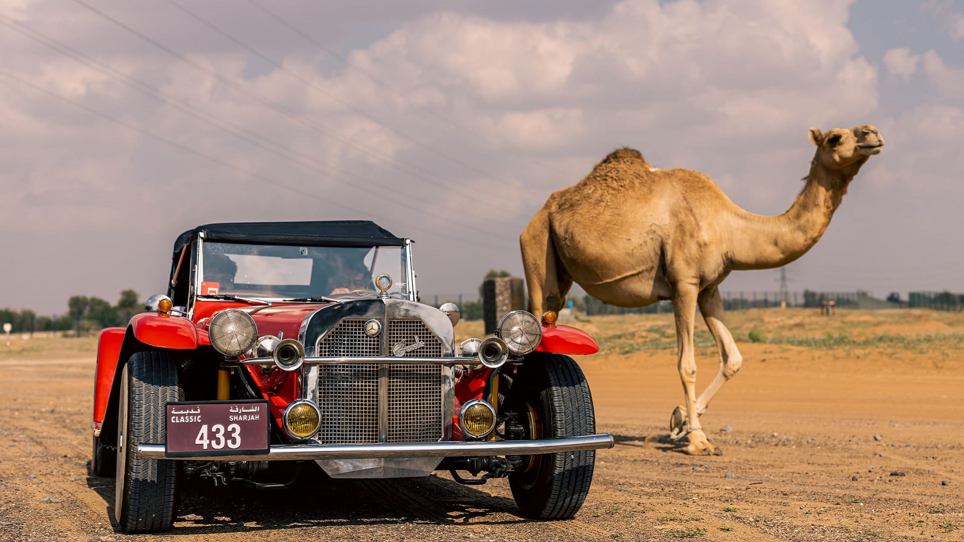 Image for the title: Route 71: A tale of vintage cars and UAE heritage 