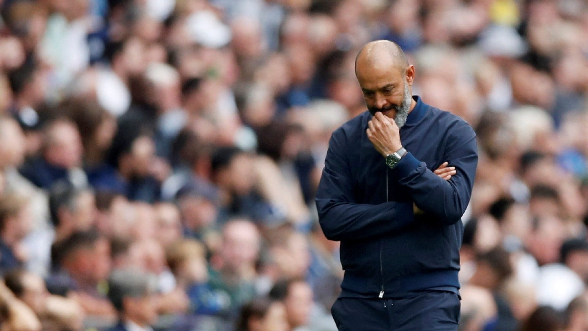 صورة بعنوان: نادي نوتينجهام فورست الإنجليزي يتعاقد مع المدرب نونو سانتو  