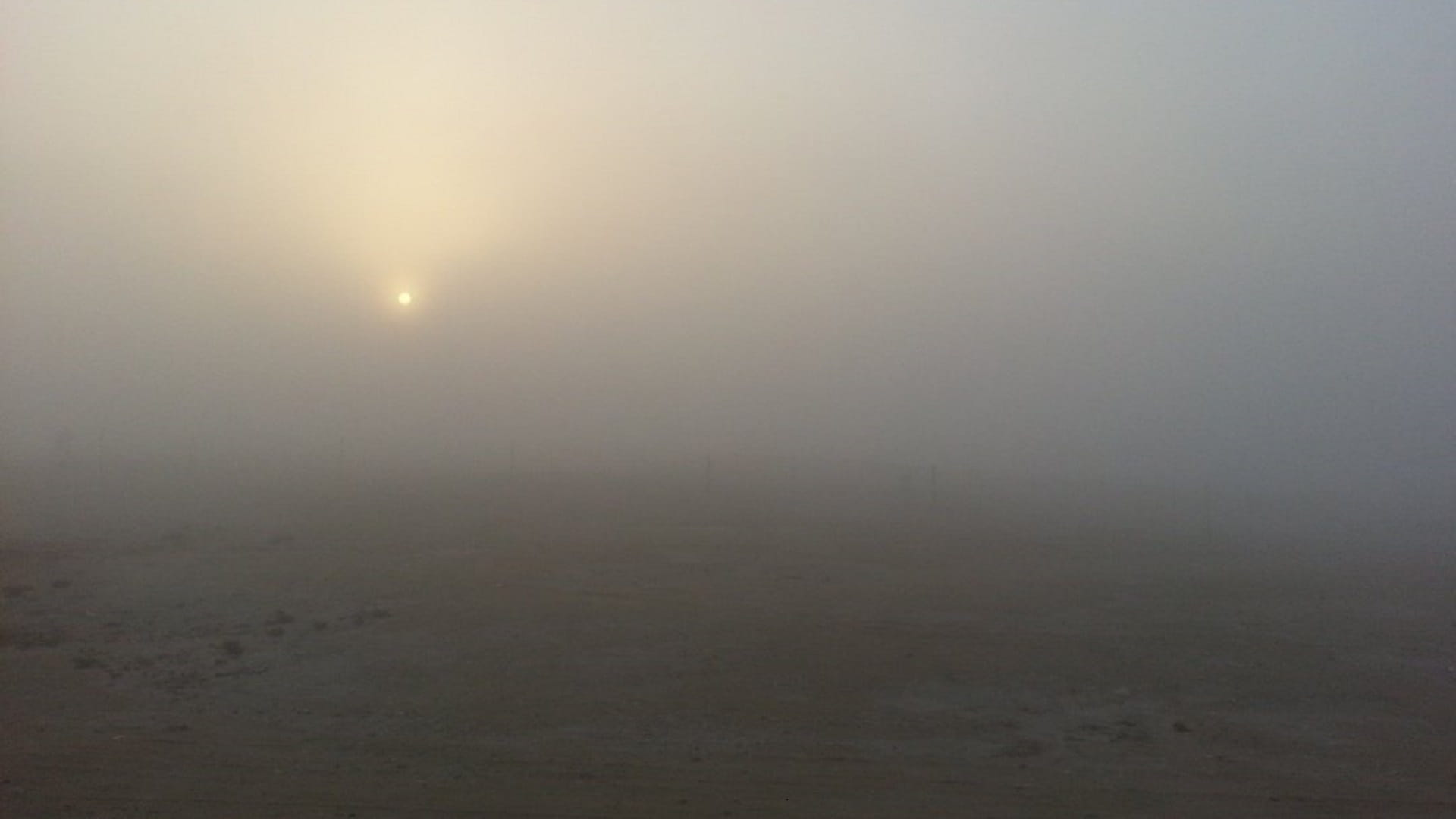 صورة بعنوان: "الأرصاد" يحذر من تدني مدى الرؤية بسبب الضباب فجر وصباح الأربعاء 