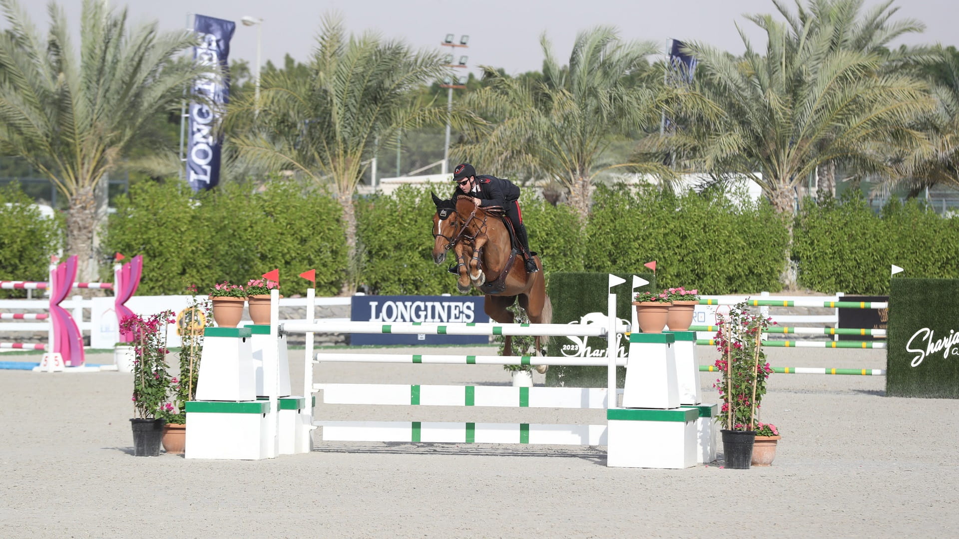 صورة بعنوان: بطولة القفز الدولية بنادي الشارقة للفروسية تشهد منافسات قوية 