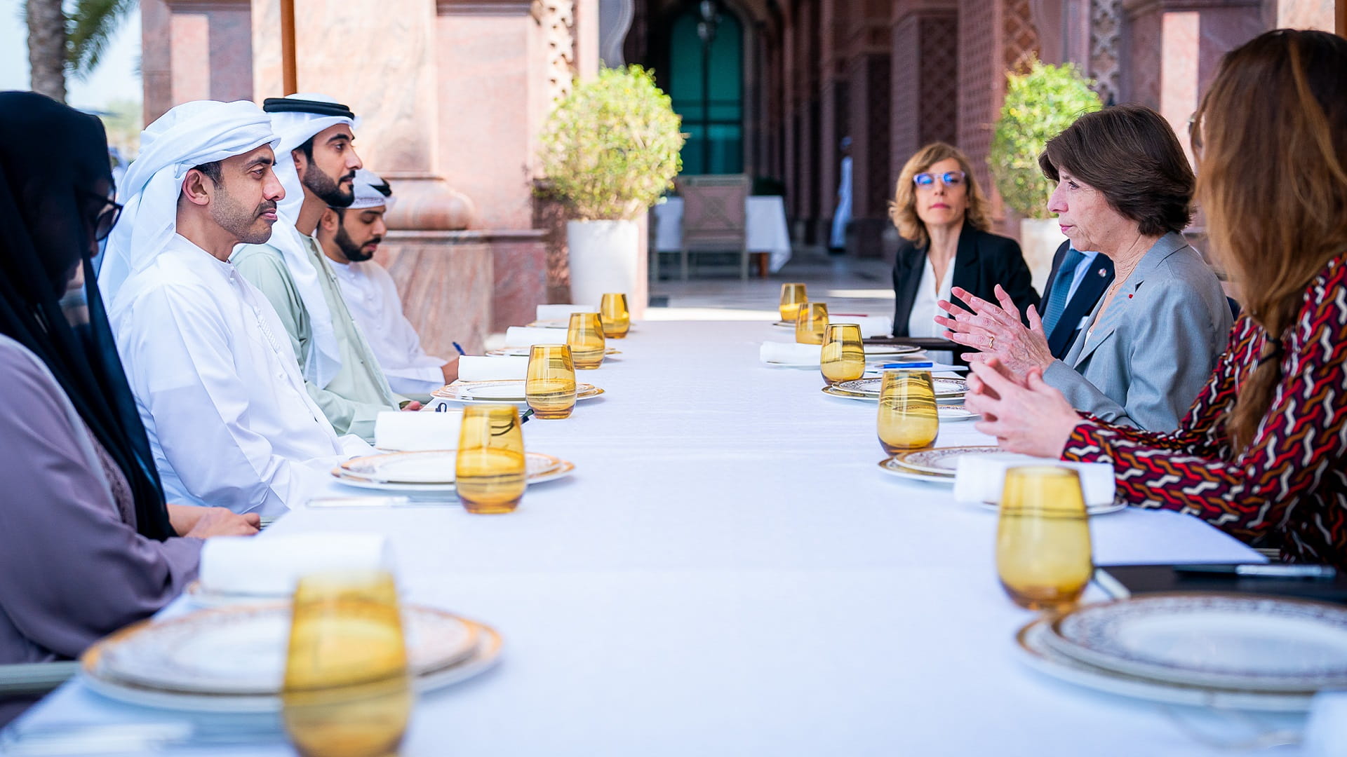 Image for the title: Abdullah bin Zayed, French FM discuss strategic partnership 