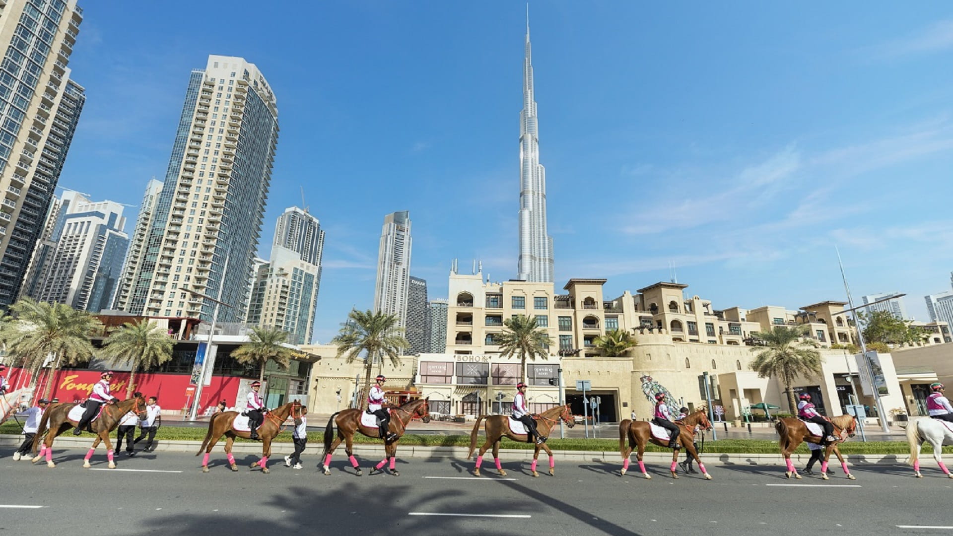 صورة بعنوان: القافلة الوردية: مشهد إنساني تتمازج فيه مختلف القطاعات 