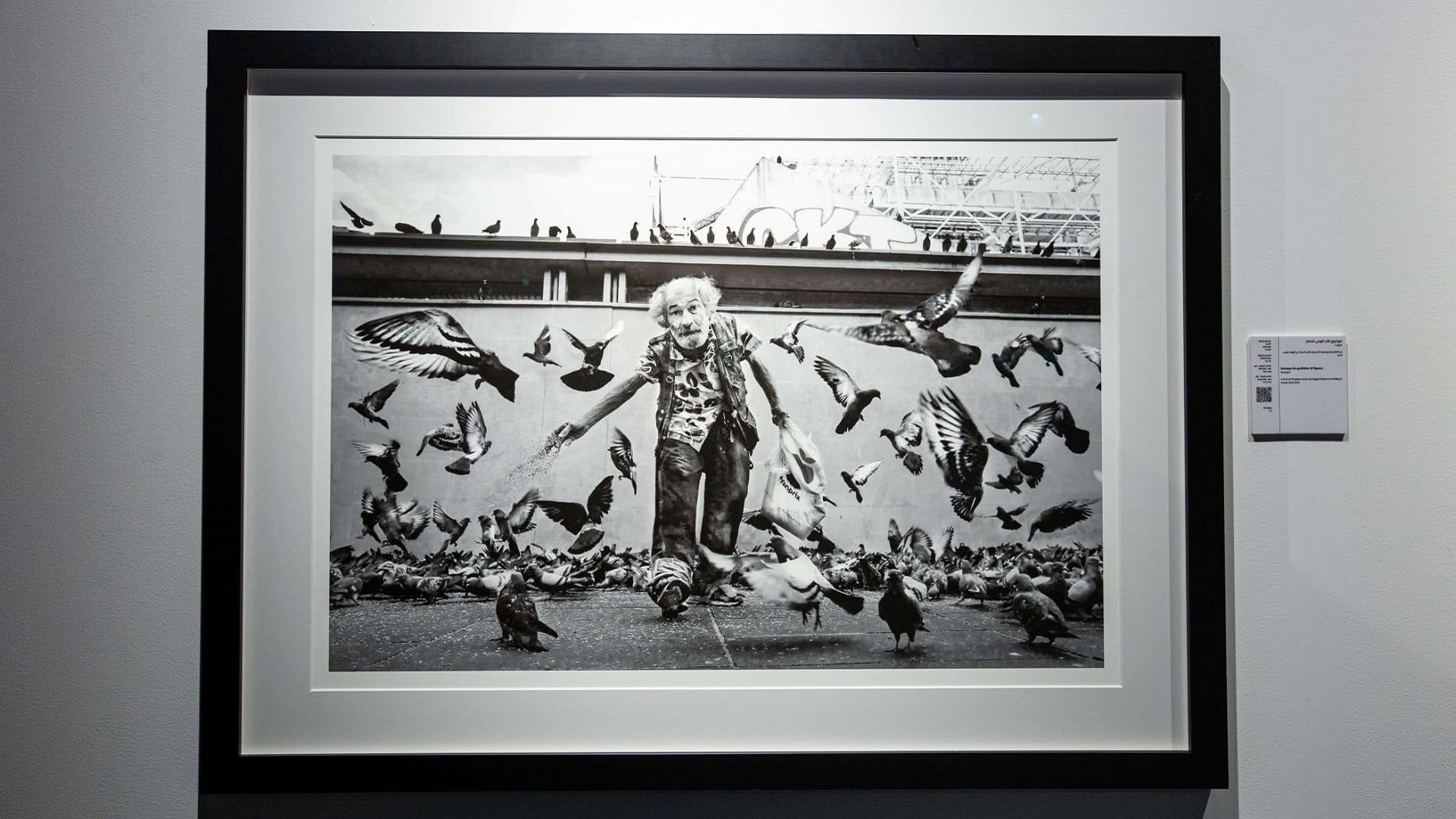 Image for the title: Black and white enhances sense of reality 