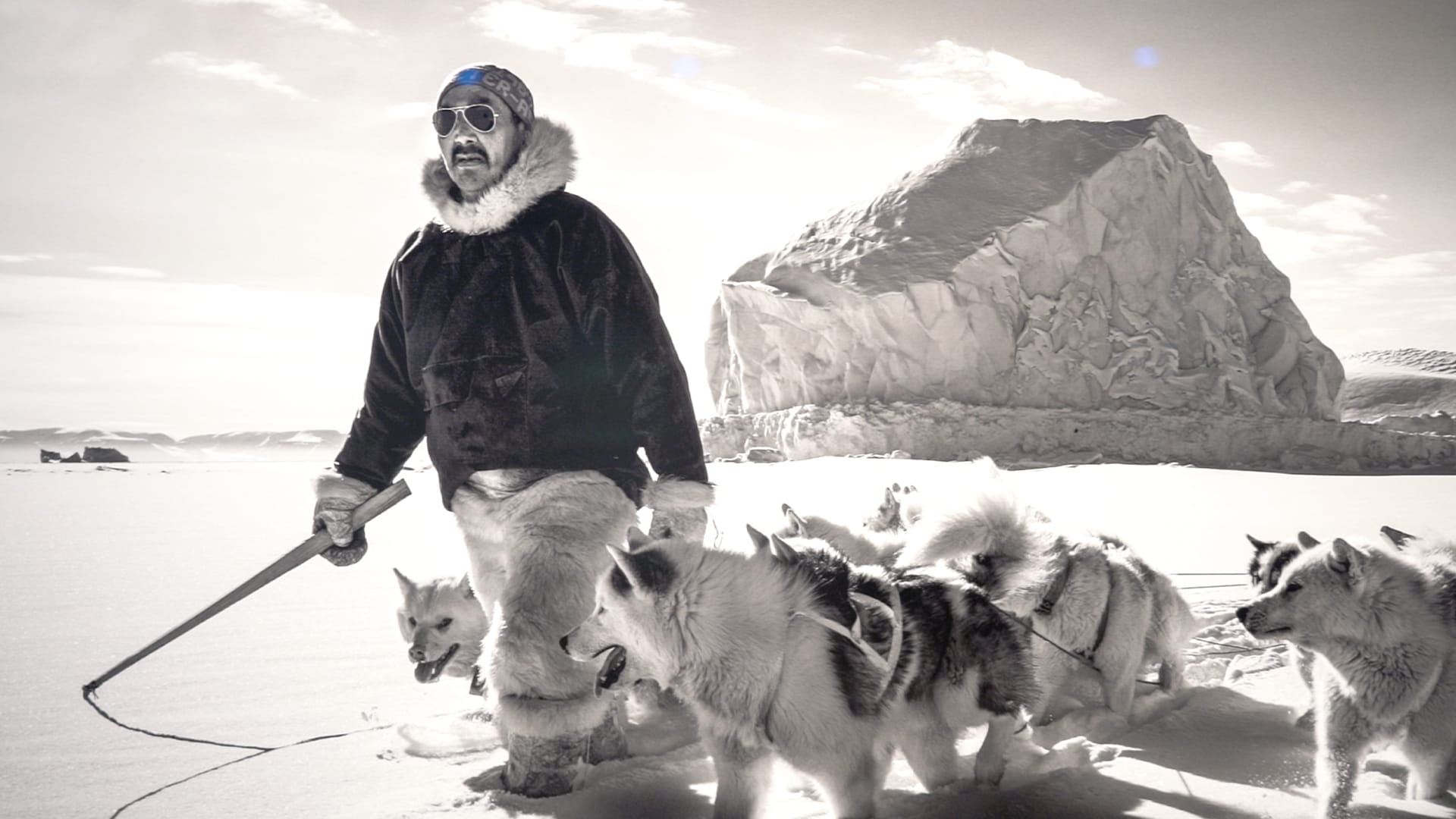 صورة بعنوان: في القطب الشمالي...اكسبوجر يتحدى الجليد ويصور حيوانات غرينلاند 